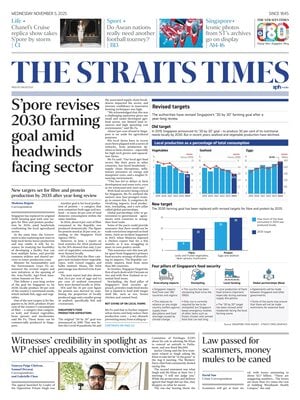 The Straits Times