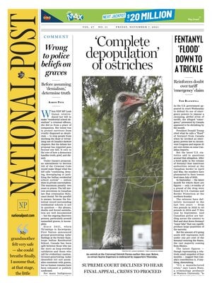 National Post (The Post)