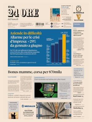 Il Sole 24 Ore