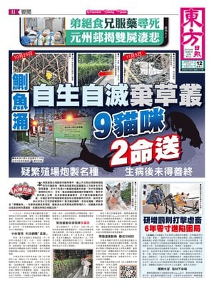 Oriental Daily News