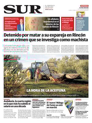 Diario SUR