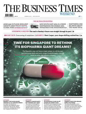 The Business Times (Singapore)