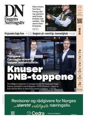 Dagens Næringsliv (DN)