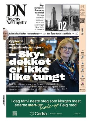Dagens Næringsliv (DN)