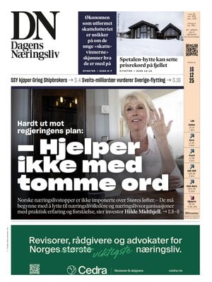 Dagens Næringsliv (DN)