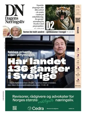 Dagens Næringsliv (DN)