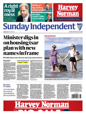 Irish Independent